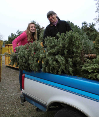 Trees_Teamwork-Jill-&-Kyrie